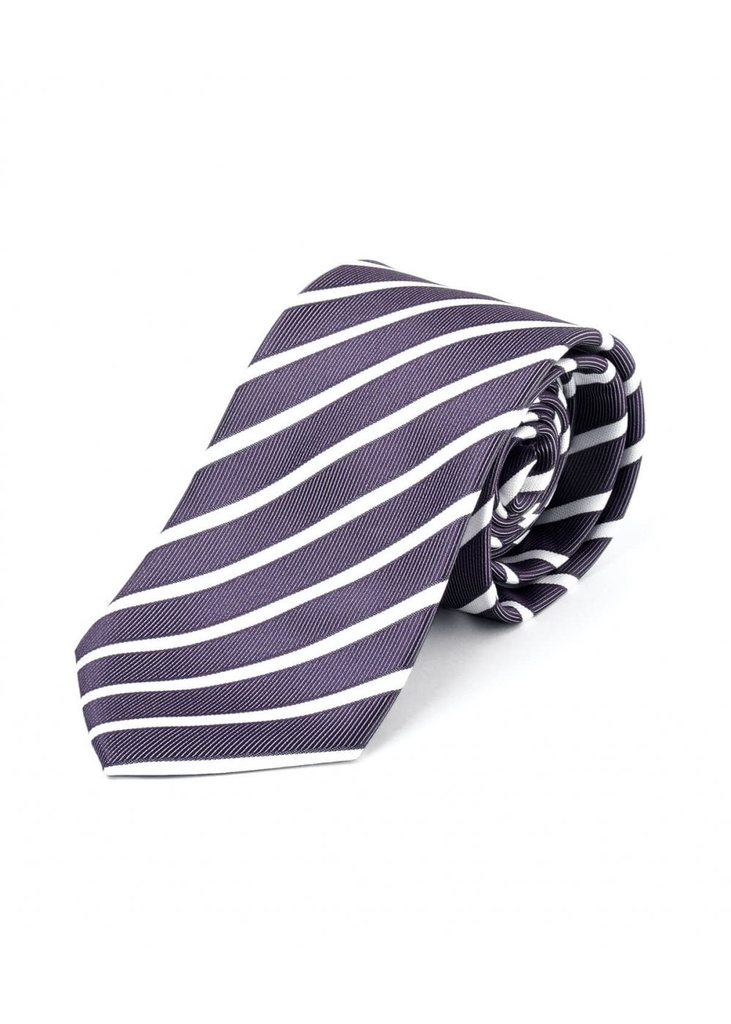 Disley Stripe Polyester Uniform Tie DS_TST100